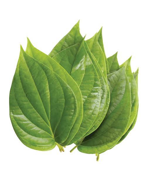 Betel Leaves